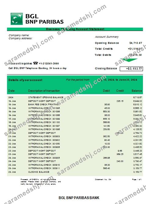 BGL BNP Paribas business checking account statement Word and PDF template scr